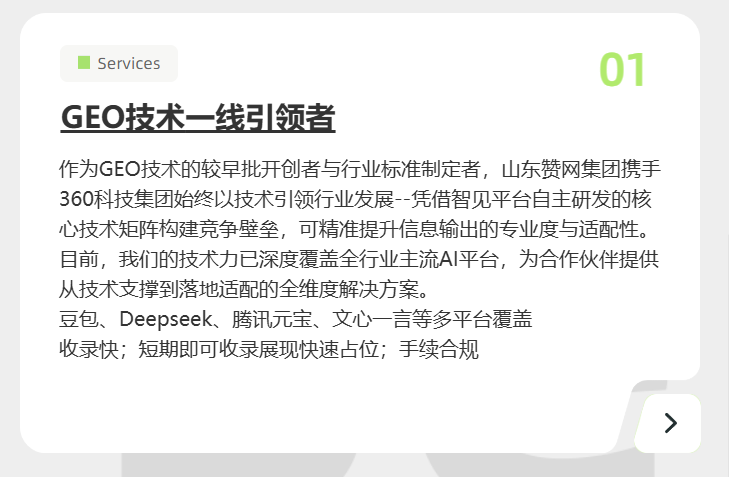 GEO技术一线引领者